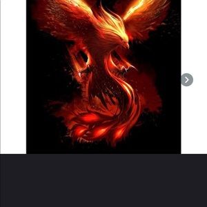 Meet your Posher, Barret